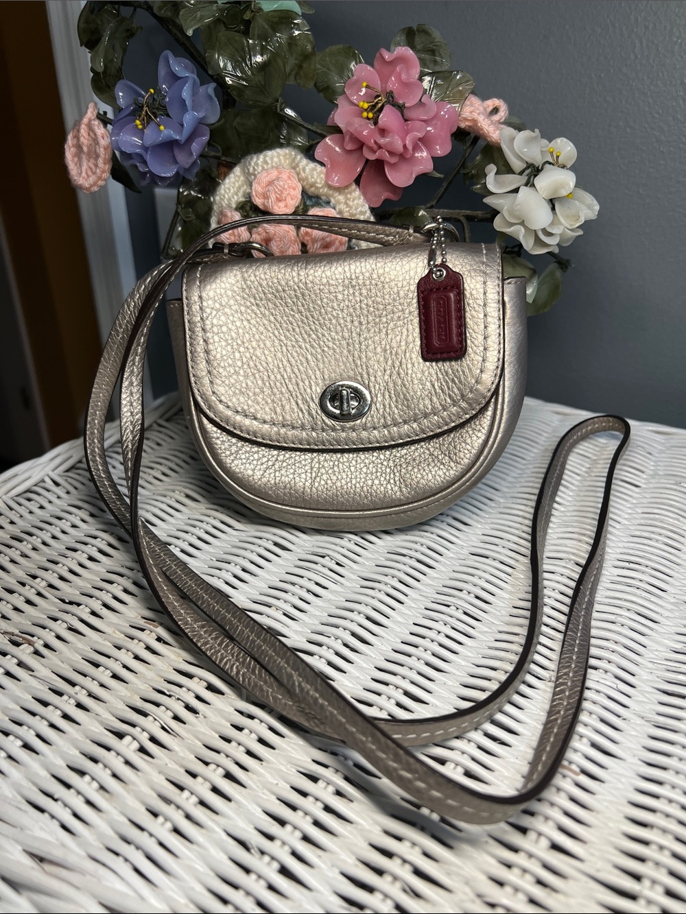 Coach Park Mini Leather Crossbody